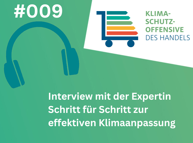 HDE-Adapt_Hadelsverband_Einzelhandel_Klimaanpassung_Podcast_Birgit_Georgi