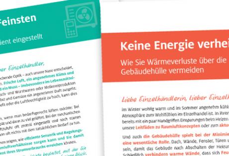 Klimaschutzoffensive: Leitfäden zu den Themen Heizanlage, Dämmung und Raumluft erschienen