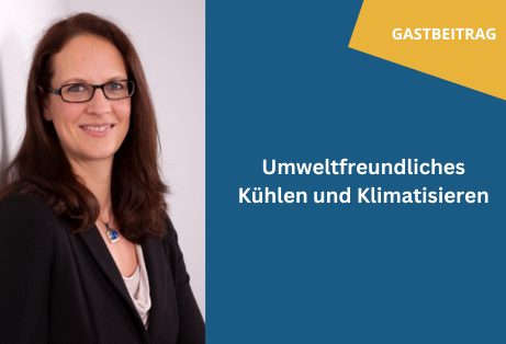 Klimaschutzoffensive-HDE Gastbeitrag Paetzold energieeffizient Kuehlen