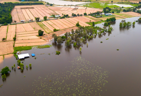 HJDE-Adapt Einzelhandel klimaresiliente Lieferketten