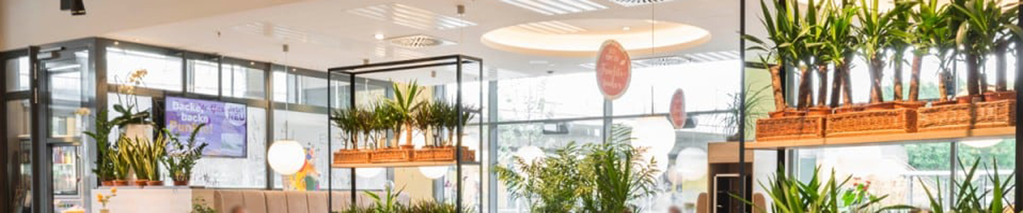 Essbar EDEKA Specht Essbar EDEKA Specht, Klimaschutzoffensive