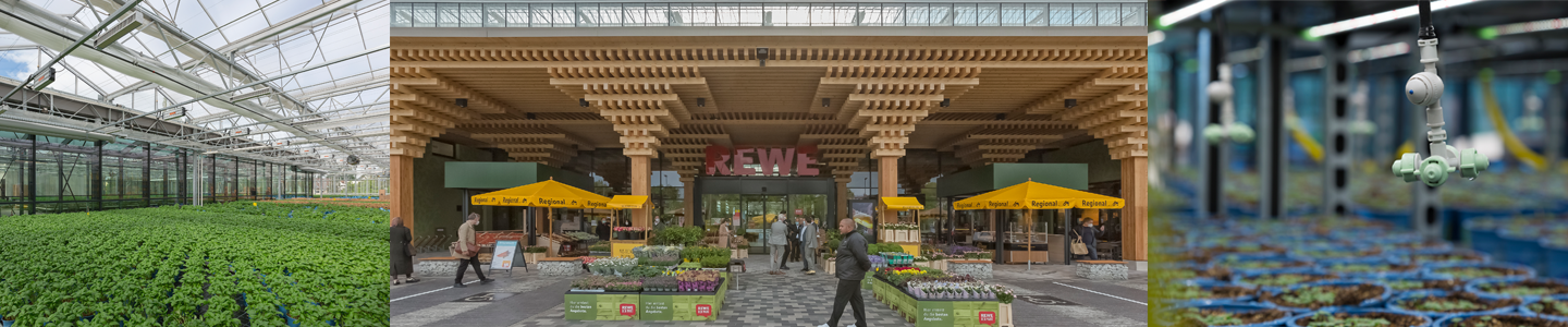 Klimaschutzoffensive: Rewe-Markt in Wiesbaden mit Fisch- und Basilikumzucht auf Dach Klimaschutzoffensive: Rewe-Markt in Wiesbaden mit Fisch- und Basilikumzucht auf Dach