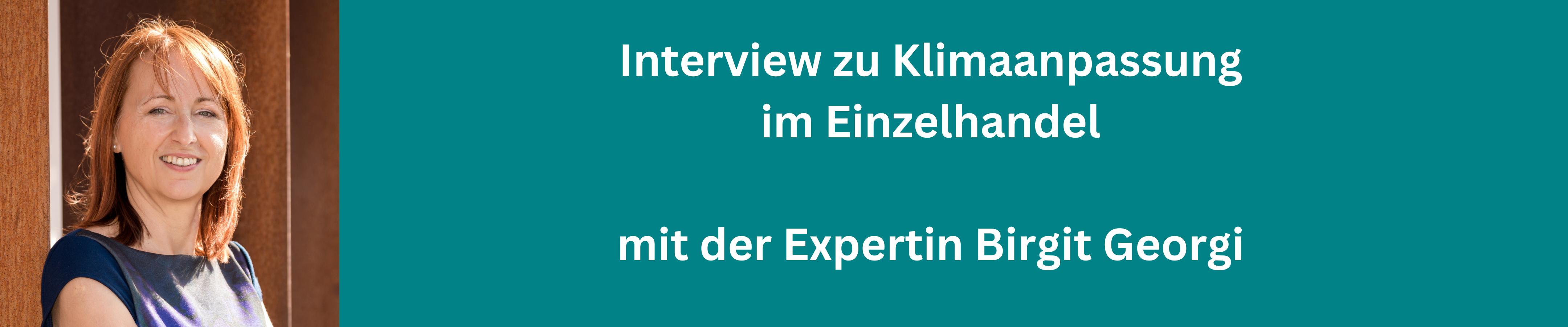 Klimaschutzoffensive-HDE Interview Klimaanpassung Einzelhandel Georgi