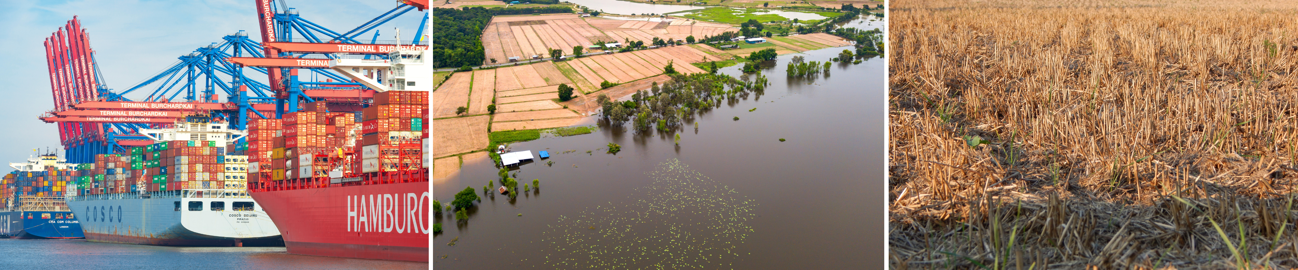 HJDE-Adapt Einzelhandel klimaresiliente Lieferketten